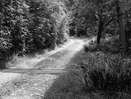 For Mr Chamberlain. Humphrey Davies, Wynne Road, St Mary, Llanegryn; Jean's daughter (hospital) - Aug-72 thumbnail