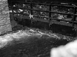 Ian Carter, Market Square Bridge on the river Bowy Mrs. Sim Ratenbury, Llan. Gordon Sutton Maenofferen thumbnail