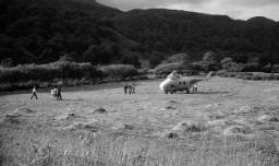 Camping with Eilir; helicopter at Maentwrog thumbnail