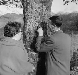 Hugh Trawsfynydd and bride. Ted Jones Eilir at Dolmoch - Three little girsl. Betty ??? Passports thumbnail