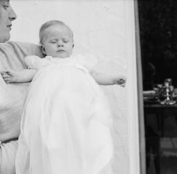 Golden Lion Baby, Dolgellau Nigel Hughes Jones Sq. Cow - Sep-68 thumbnail