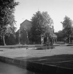 Chester Zoo with Blaenau Camera Club - Wedding at Bowydd Chapel? thumbnail