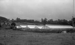 Selwyn's funeral - Lift Chairs, Llandudno - Cawbridge glass houses, Caerynwch thumbnail