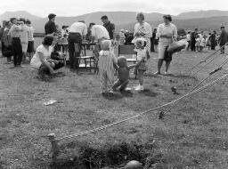 Traws, Carnival Blaenau Carnival no.2 Miss Merioneth thumbnail