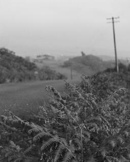 Mr. and Mrs. Carr, Marian and Husband Jeffrey, Talweunydd thumbnail