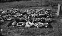 Selwyn's funeral - Lift Chairs, Llandudno - Cawbridge glass houses, Caerynwch thumbnail