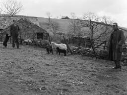 Wed. Gewnda Lewis/ Tilia Bach/ 11 Talweunydd/ Alwena. Llechwedd - Apr-65 thumbnail