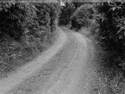 For Mr Chamberlain. Humphrey Davies, Wynne Road, St Mary, Llanegryn; Jean's daughter (hospital) - Aug-72 thumbnail