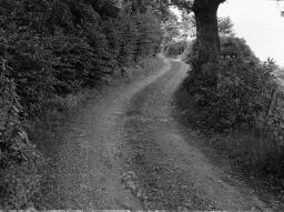 For Mr Chamberlain. Humphrey Davies, Wynne Road, St Mary, Llanegryn; Jean's daughter (hospital) - Aug-72 thumbnail