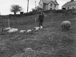 Wed. Gewnda Lewis/ Tilia Bach/ 11 Talweunydd/ Alwena. Llechwedd - Apr-65 thumbnail