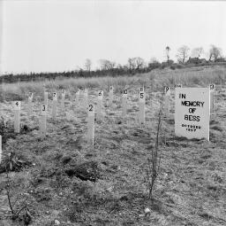 Gwenda Don's baby - G. M.'s Cemetary - Golf objector - Feb-69 thumbnail