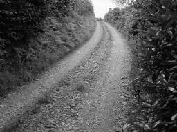 For Mr Chamberlain. Humphrey Davies, Wynne Road, St Mary, Llanegryn; Jean's daughter (hospital) - Aug-72 thumbnail