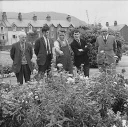 Sylvia Ann Jones - Ann Pritchard, Wynne Road, Plas Weunydd Park Flowers - Maenofferen Schools - Septemeber 1969 thumbnail